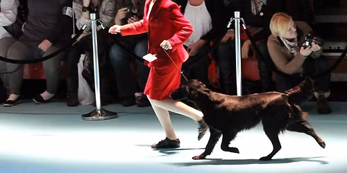 Oslo Dog Show | Lillestr\u00f8m