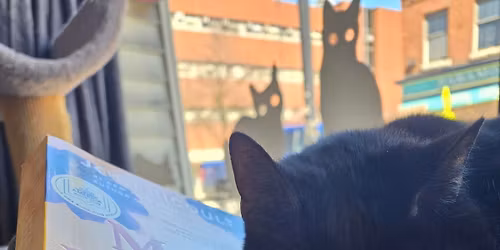 Kitty Korner Book Club  - April