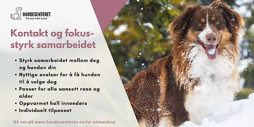 Kontakt og fokus \u2013 styrk samarbeidet mellom deg og hunden din! (ledige plasser)