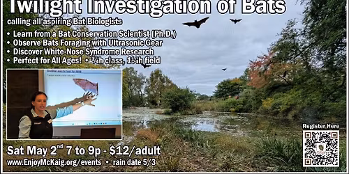 Echoes of the Night: The McKaig Bat Study