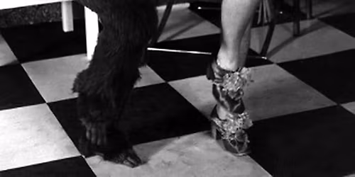 Robin Askwith Live - Different Times