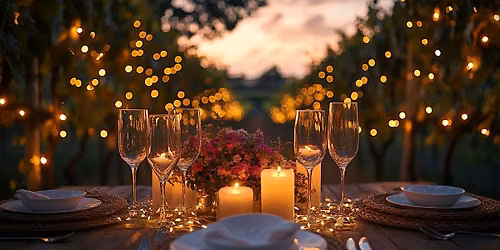 Rooted at the Table Dinner Series (dinner #2)