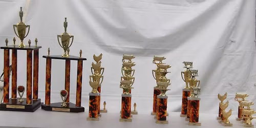 2026 Twin Valley Fire & Smoke BBQ Competition 