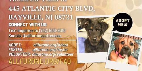 Adoption Day! See us at Bayville Pets Supplies Plus Adoption Event