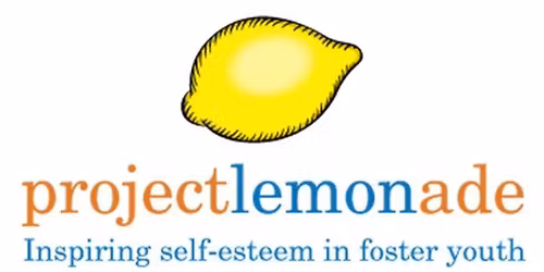 Project Lemonade Volunteer Night