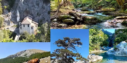 GT Basilicata e Calabria: Affascinante Pollino tra pini loricati, borghi e mare (CS)