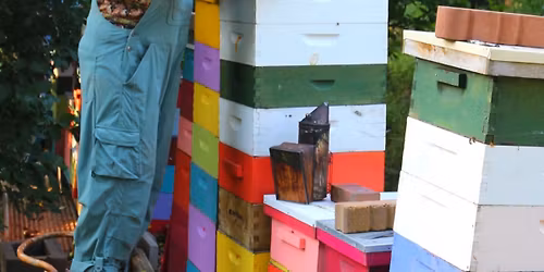 JoCoM0BA 5th Annual Beekeeping Workshop