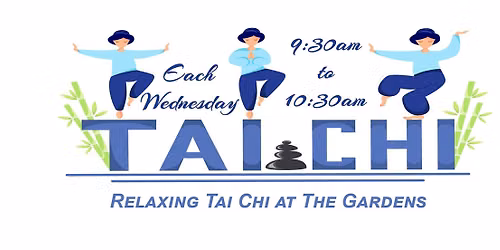 Relaxing Tai Chi at The Gardens