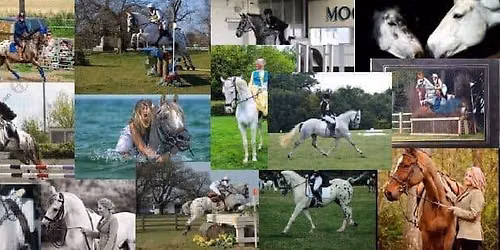 Pony club sleepover at the pony club championships