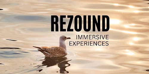 Live Ambient Soundbath with Rezound