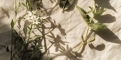 Introduction to Herbal Tea Blending