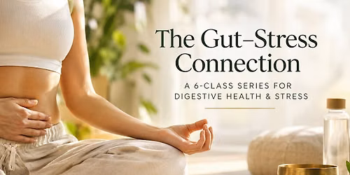 The Gut\u2013Stress Connection