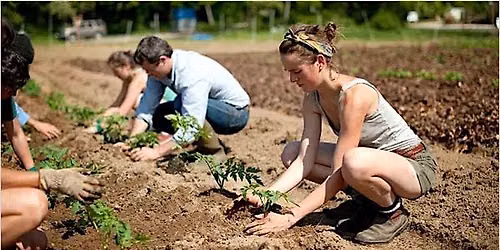 Saturday Volunteer & Learning Day on the Souper Farm 9.12