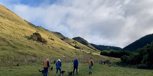 June Dogwalk: Rewanui Bush Park
