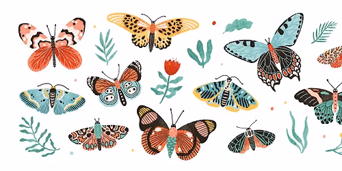 4-H Entomology Club - Butterflies & Moths