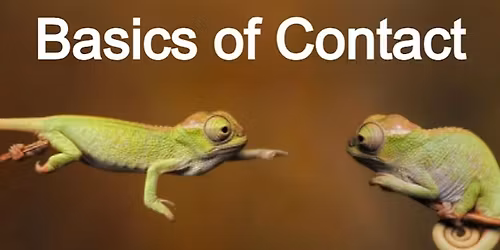The Basics of Contact