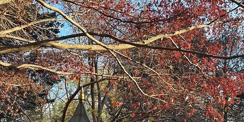 Celebrate Japan! at Long Hill-Heritage in Bloom: The Japanese Garden Tour