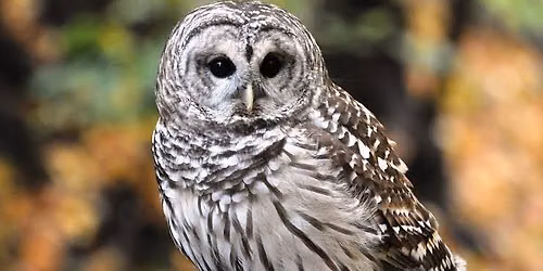 Evening Hike & Brews with the Animals (21+ only)