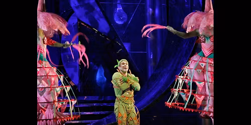 The Met Opera Live in HD presents: The Magic Flute - Encore \/ Foothills, Oneonta