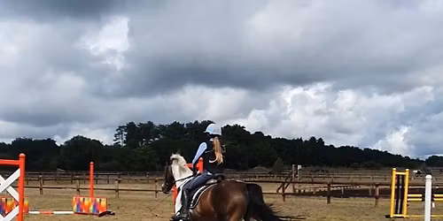 Step it up Sundays! Pole work with a difference ! 