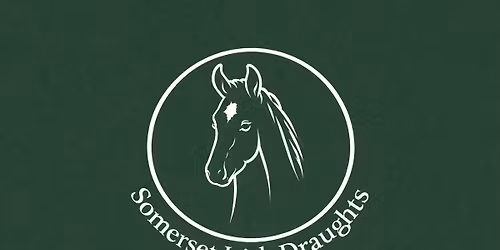 Somerset Irish Draught Open day!!