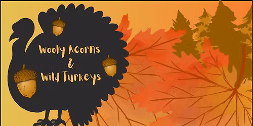 Wooly Acorns & Wild Turkeys