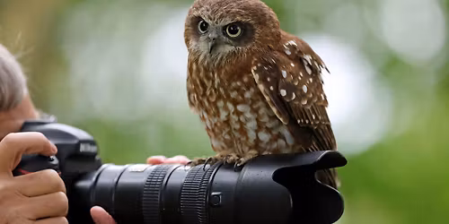 Photography Evening by Dusk