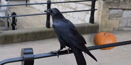 Madison\u2019s Hidden History: From Myth to Mystery