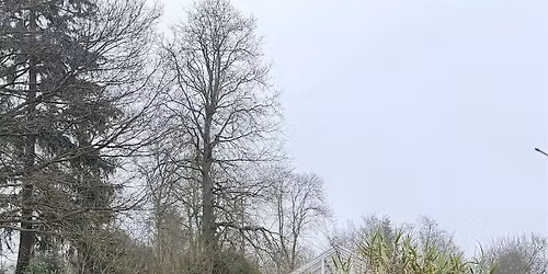 Climate Resilient Gardening