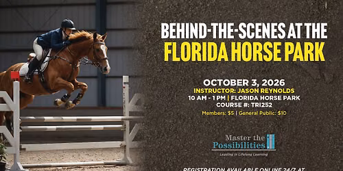 Behind The Scenes At the Florida Horse Park