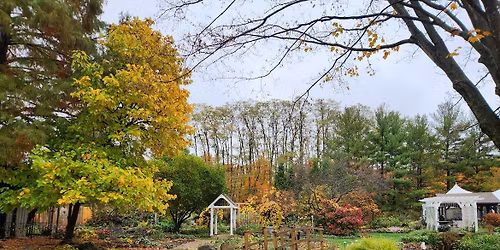 Halloween Murder Mystery Party