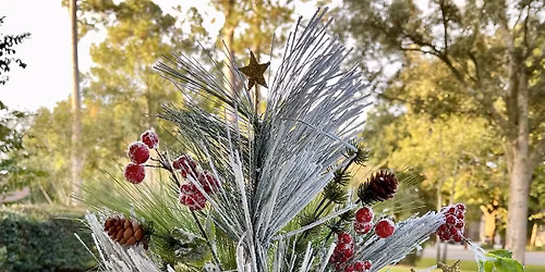  Nativity Arrangement 