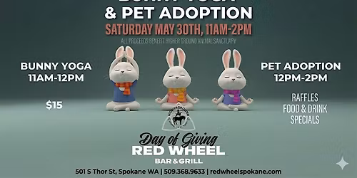 Bunny Yoga and Adoption Event
