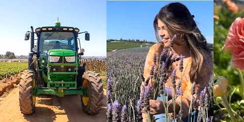 Oceanside's Berries & Blooms Festival @ Mellano Farm Stand