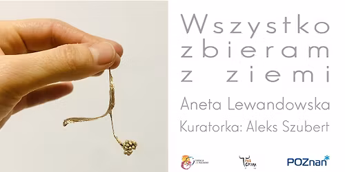 Wszystko zbieram z ziemi