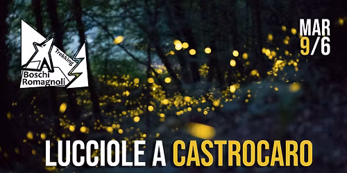 Lucciole a Castrocaro