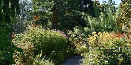 Autumn Equinox Forest Bathing Walk