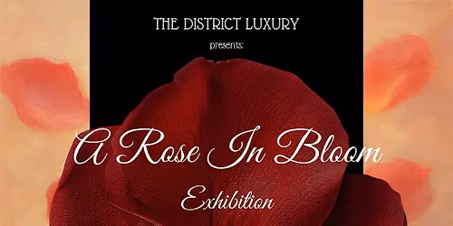 A Rose In Bloom Exhibition