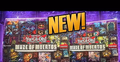 Team Net Maze of Muertos Case Tournament