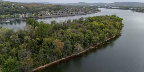 Maclellan Island Eco Tours