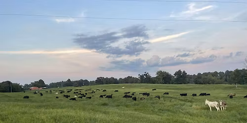 Northeast District Beef Conference