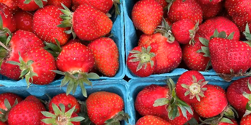 First Market Saturday!