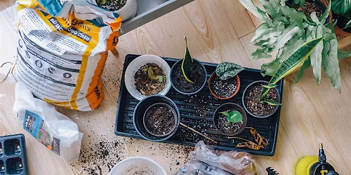 Propagation Station: Herb Planting Workshop