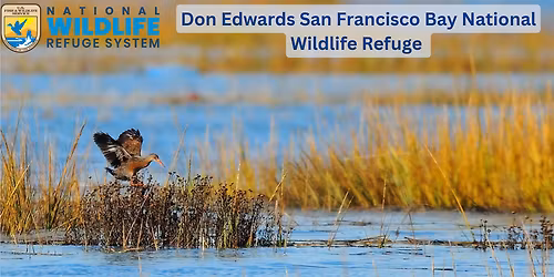 Donny Edwards at Leo J Welder Center for the Performing Arts