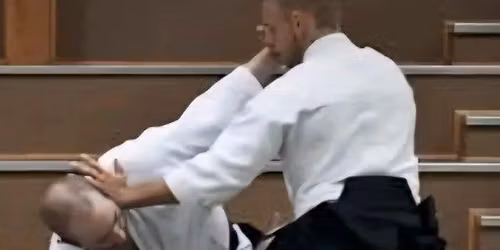 Aikido-Lehrgang mit Mats Ahlin, 4. Dan Aikikai Tokio