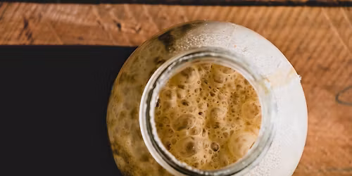 Sourdough Starter Basics 