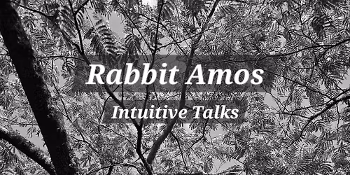Intuitive Talks ~ With Rabbit Amos \ud83d\udc30\u2728\ufe0f