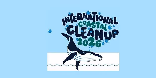 International Coastal Cleanup - Tybee Island