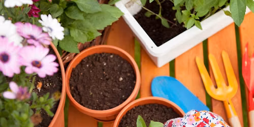Gardening-Stepping Stones\/Garden Ornaments