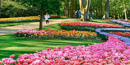 Tulip Time - Round Trip Amsterdam